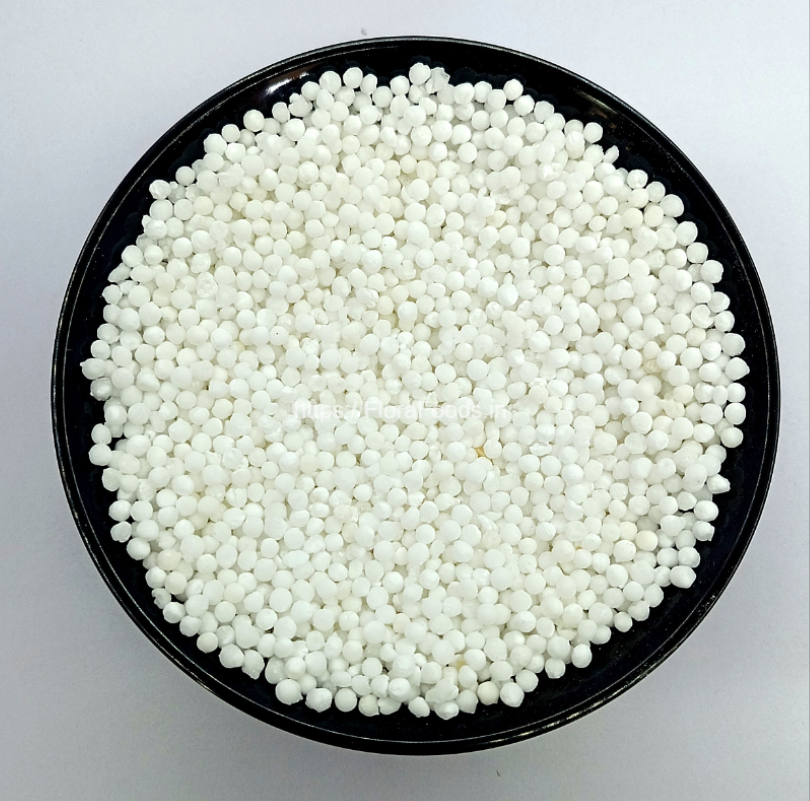 Picture of Sabu Dana Sagu dana - 1 kg