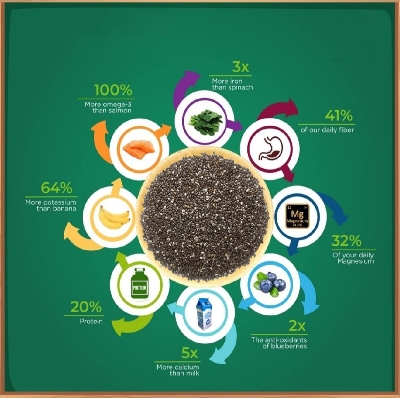Picture of Organic Chia Seed - 500g Jar | High in Fiber and Omega-3, Ideal for Weight Loss