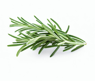 Picture of Rosemary Leaves - 50g