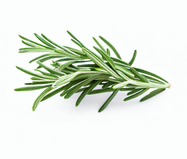 Picture of Rosemary Leaves - 200g