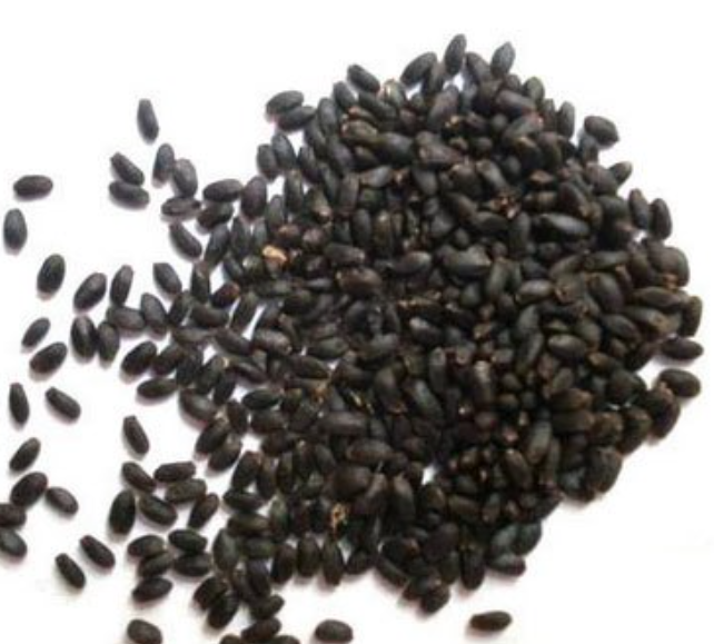 Picture of Tokma Dana Premium Basil seed - 1KG
