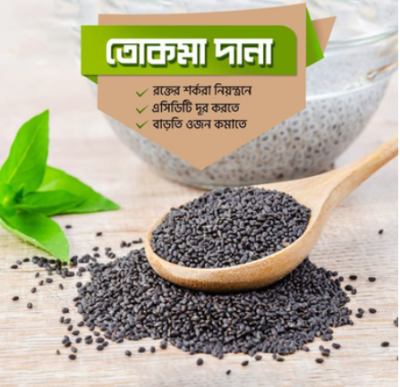 Picture of Tokma Dana Premium Basil seed - 1KG