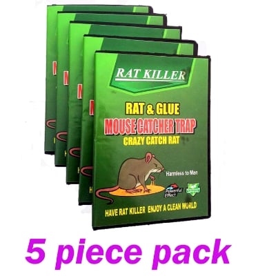 Picture of Rat & Mouse , idur Marar CD , Glue Trap 5 Pieces Combo 