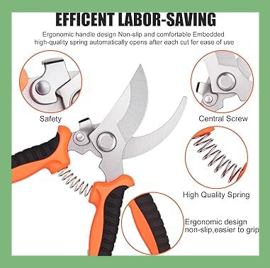 Picture of Best Quality eight Inch bypass Garden Scissors Fruit Tree Pruning Shears Bonsai Pruners Grafting Cutter Garden Tools (Multicolor)