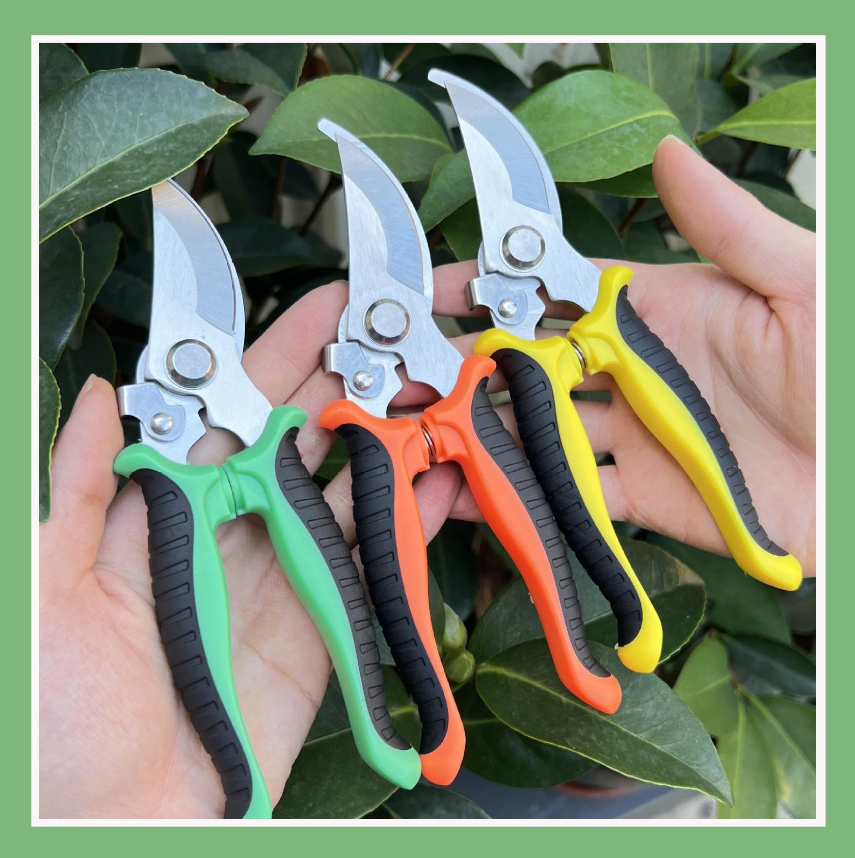 Picture of Best Quality eight Inch bypass Garden Scissors Fruit Tree Pruning Shears Bonsai Pruners Grafting Cutter Garden Tools (Multicolor)