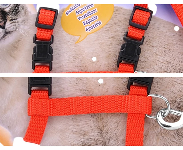 Picture of Adjustable Nylon Pet Cat Harness and Leash ~ Kitten Belt Collar with lead (Multicolor,2 kg)