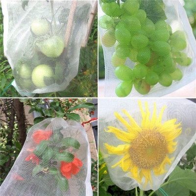 Picture of 10 PCS Fruit Garden Nylon Protection Bag Insect-proof protection Bag Insect Mesh Net for Anti Insect (Medium)