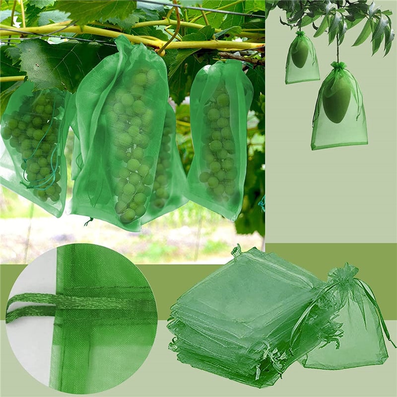Picture of 10 PCS Fruit Garden Nylon Protection Bag Insect-proof protection Bag Insect Mesh Net for Anti Insect (Medium)