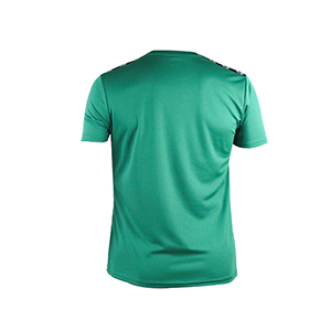 Picture of GREEN T-SHIRTS SPORTS FOR MEN 8AX0780