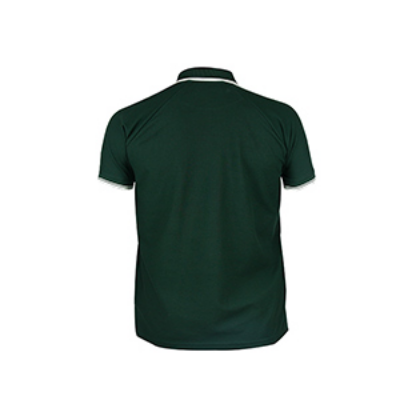 Picture of GREEN POLO SHIRTS LEISURE FOR MEN 8BE0727