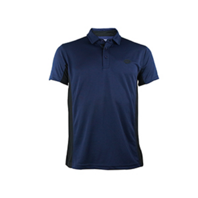Picture of BLUE POLO SHIRTS SPORTS  FOR MEN 8BN0R22