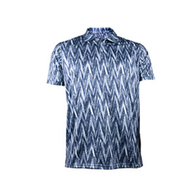 Picture of MULTICOLOR POLO SHIRTS SPORTS  FOR MEN 8BV0225