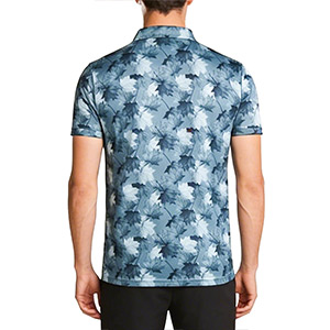 Picture of MULTICOLOR POLO SHIRTS SPORTS  FOR MEN 8BV0S25