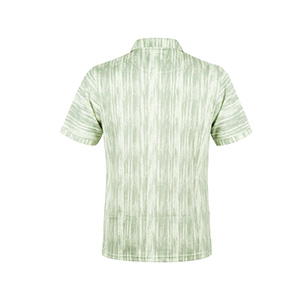 Picture of GREEN POLO SHIRTS SPORTS  FOR MEN 8BV1G25