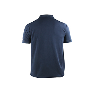Picture of BLUE POLO SHIRTS SPORTS  FOR MEN 8BV1R24