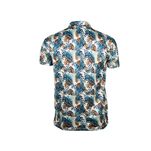 Picture of MULTICOLOR POLO SHIRTS SPORTS  FOR MEN 8BV4L25