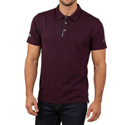 Picture of MAROON POLO SHIRTS SPORTS  FOR MEN 8BX0I44