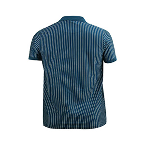 Picture of TURKISH BLUE POLO SHIRTS SPORTS  FOR MEN 8BX0L38