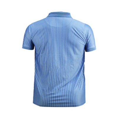 Picture of BLUE POLO SHIRTS SPORTS  FOR MEN 8BX0S38