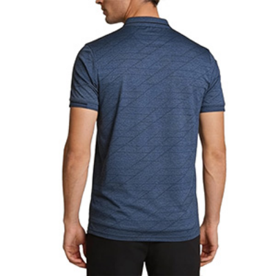 Picture of BLUE POLO SHIRTS SPORTS  FOR MEN 8BX2977