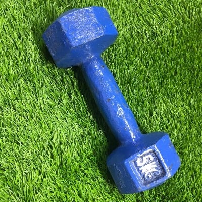 Picture of Dumbbell 5Kg Pics - Blue -Blue