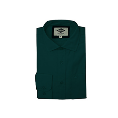 Picture of GREEN FULL-SLEEVE SHIRTS FOR MEN 8SX0N20