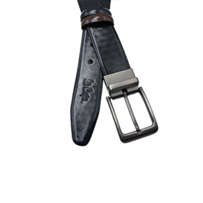 Picture of MULTICOLOR BELTS 8T41008
