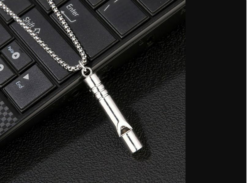 Picture of New Stylish Fashion Jewellery  Stainless Steel Chain Necklace For Men Silver 