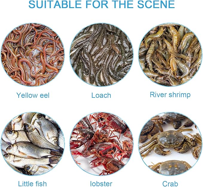 Picture of Holes Catch Mixed Fish Trap Crayfish Catcher Outdoor Fishing Net Cage Plastic Fish Trap Cage Easy to Install Black  
