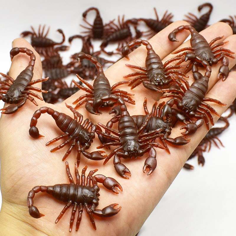Picture of Miniature Scorpion Collectibles  