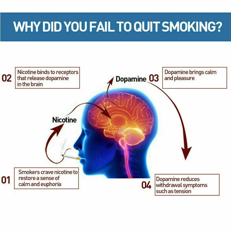 Picture of Anti Smoke Patch, Smoking Cessation Patches with No Bad Effects on Body, Effective Health Care Product Brown Int: One size