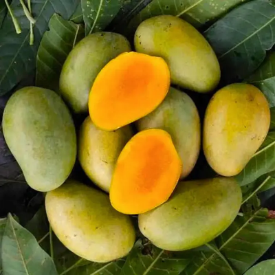Picture of DS Garden Fresh Amropali Mango 1kg