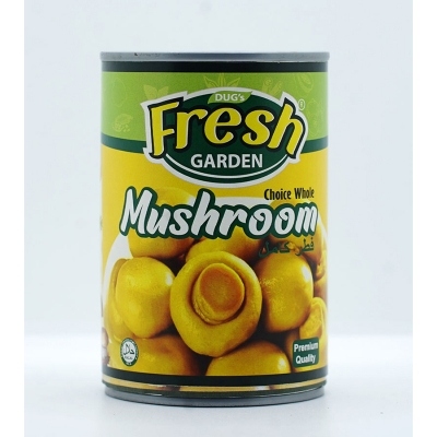 Picture of Fresh Garden Dried Mango 180g