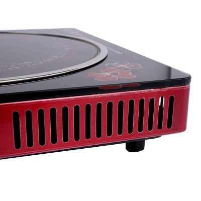 Picture of RedSwiss Infrared Cooker RSIC-007 ALL POT SUPPORT Mixed