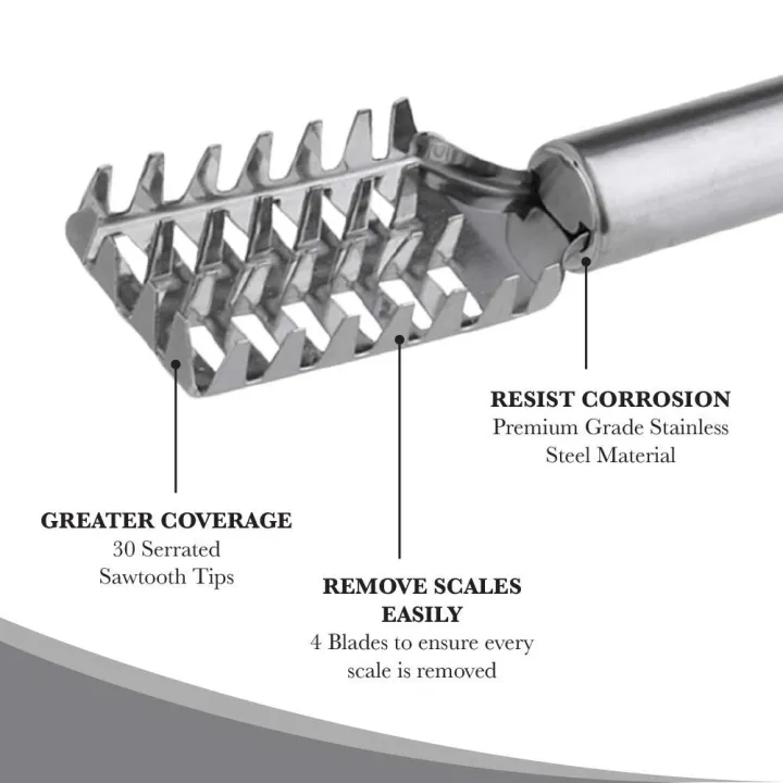 Picture of Stainless Steel Fish Scale Cleaner - Silver Silver