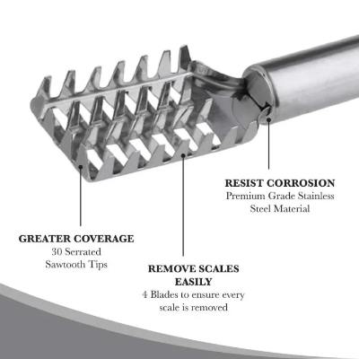 Picture of Stainless Steel Fish Scale Cleaner - Silver Silver