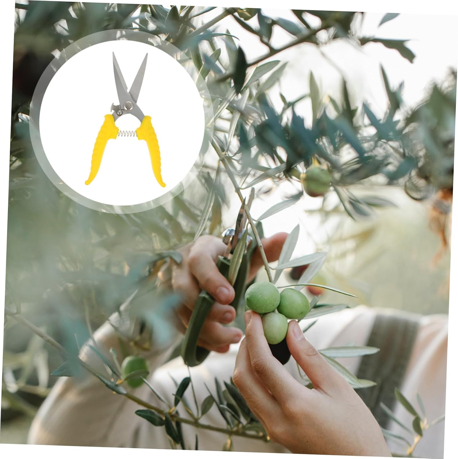 Picture of 1PC Pruning Scissor Gardening Tool Stainless Steel Material Easy Cutting Hand Shears Pruning Shear Multicolor