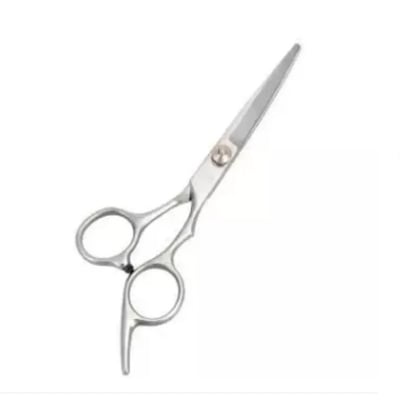 Picture of Professional Hairdressing Ice Scissor - Silver -Silver