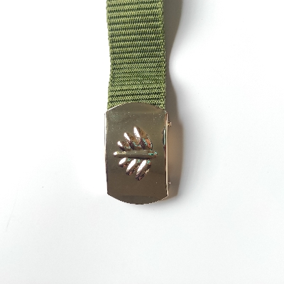 Picture of Olive Fabric Belts Metal Sapla Bookless- Premium Fabric Men Belt