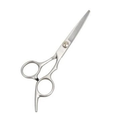 Picture of Professional Hairdressing Scissor - Silver