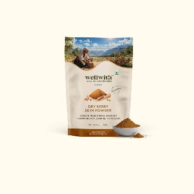 Picture of SEA BUCKTHORN DRY BERRY POWDER 100GM