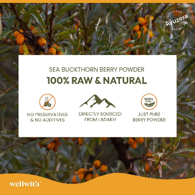 Picture of SEA BUCKTHORN DRY BERRY POWDER 100GM