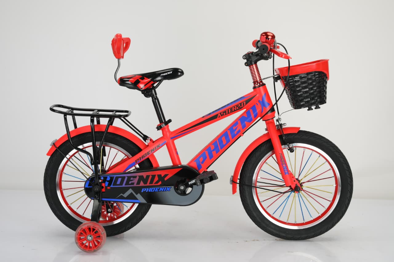 Picture of Phoenix 20" Bicycle For Boys 7-12 years With Direct Wielding Back Sits and Lighting Support Wheels  Cash On Delivery Available