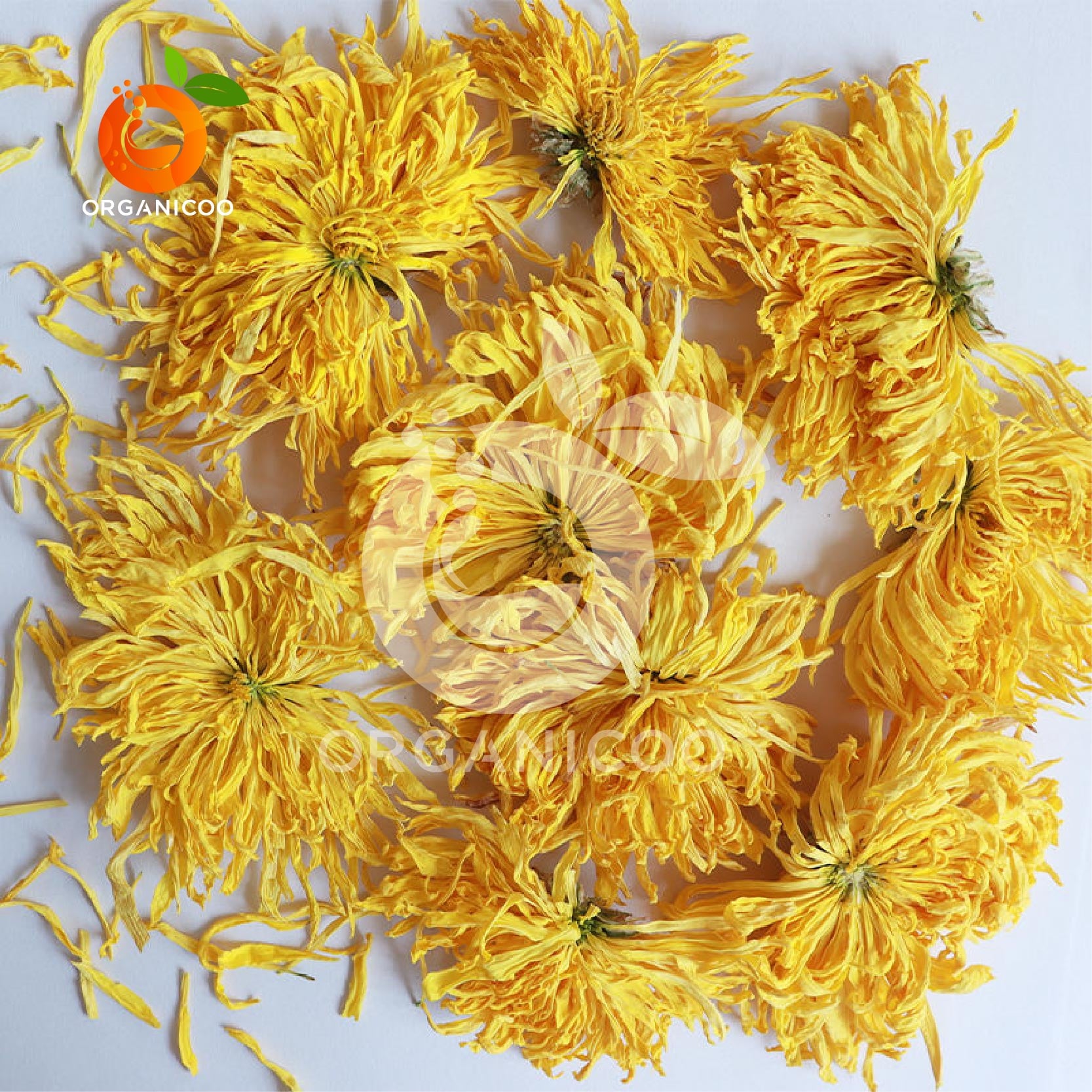 Picture of Chrysanthemum Dry Flower Tea 30g