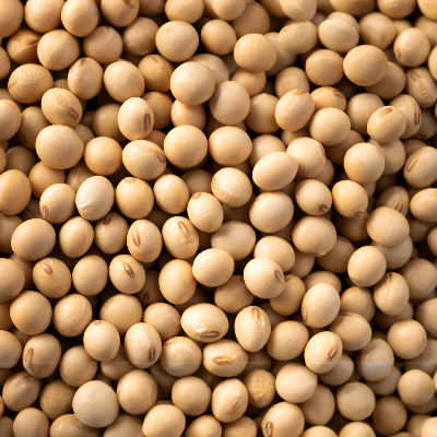 Picture of Soybean Seeds - 1 Kg