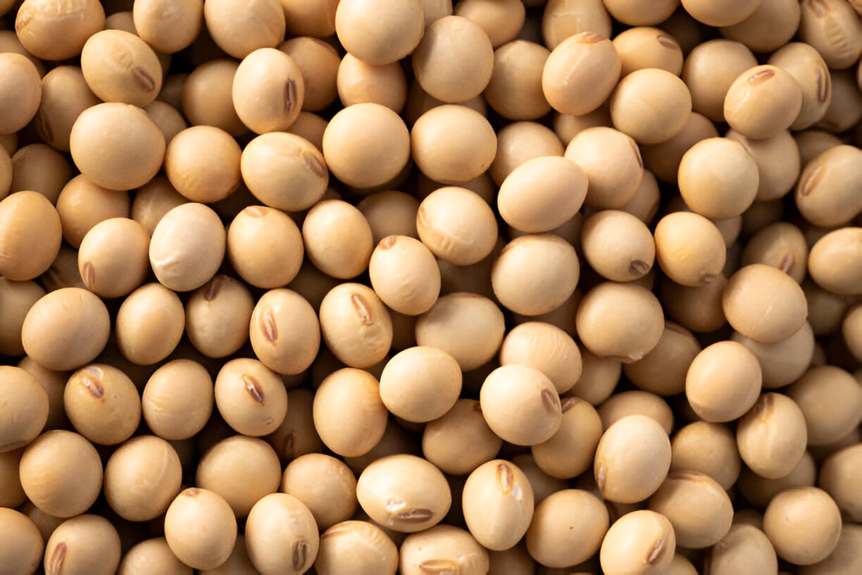 Picture of Soybean Seeds - 1 Kg
