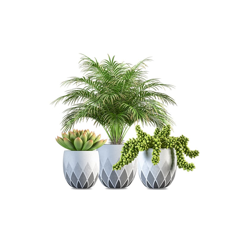 Picture of Removable Vinyl Wall Stickers for Living Room Bedroom Sofa Background Wall Stickers Home Decor KL46041-Green
