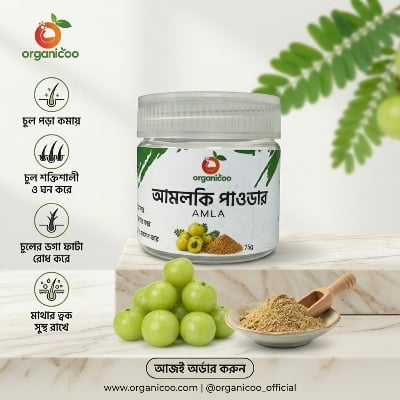 Picture of Organicoo Amla Powder 75g | Emblic Amla Powder | Natural Hair Growth | Vitamin C Rich | Herbal Hair & Skin Care | Chemical Free | Dandruff Control | Grey Hair Remedy | Amloki Powder