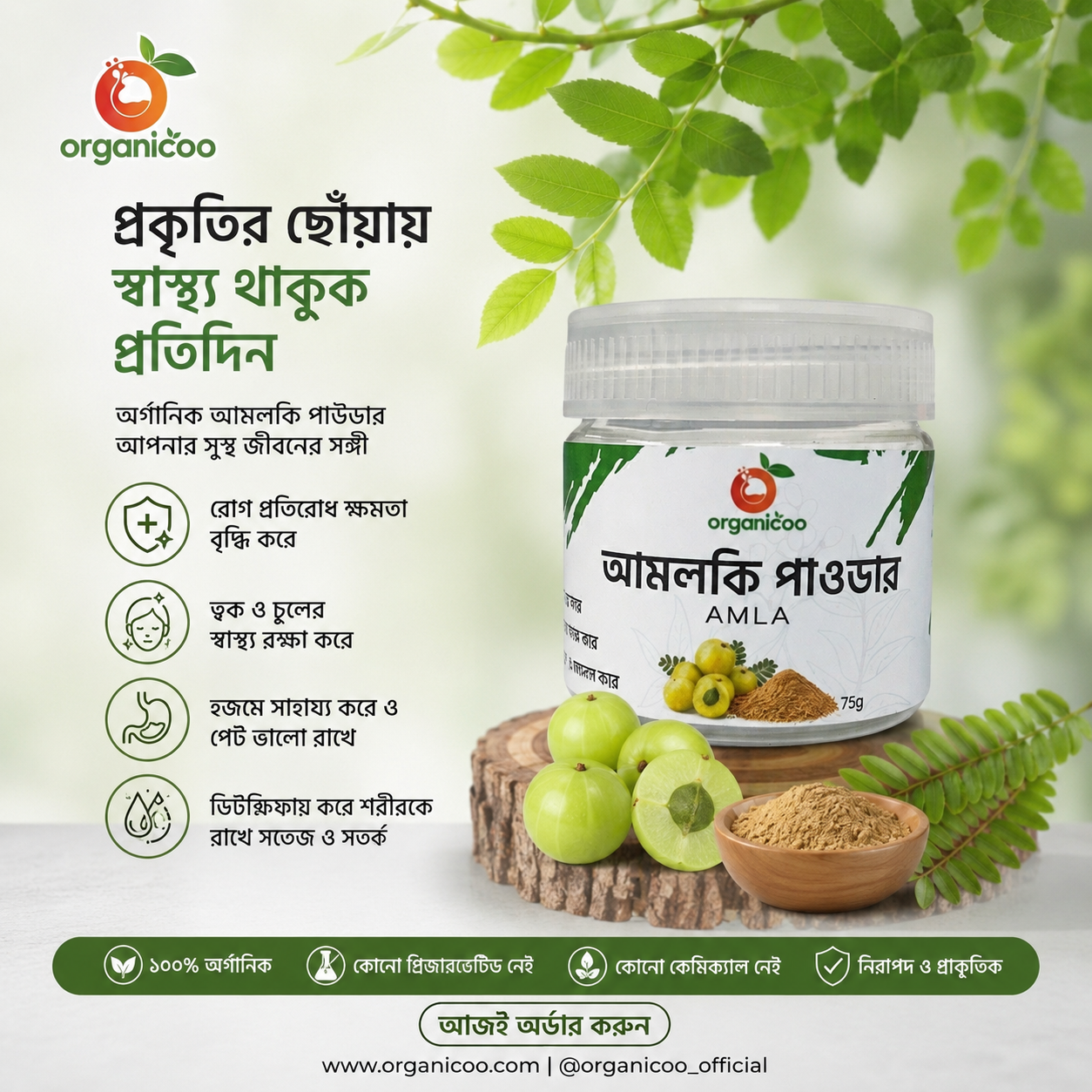 Picture of Organicoo Amla Powder 75g | Emblic Amla Powder | Natural Hair Growth | Vitamin C Rich | Herbal Hair & Skin Care | Chemical Free | Dandruff Control | Grey Hair Remedy | Amloki Powder