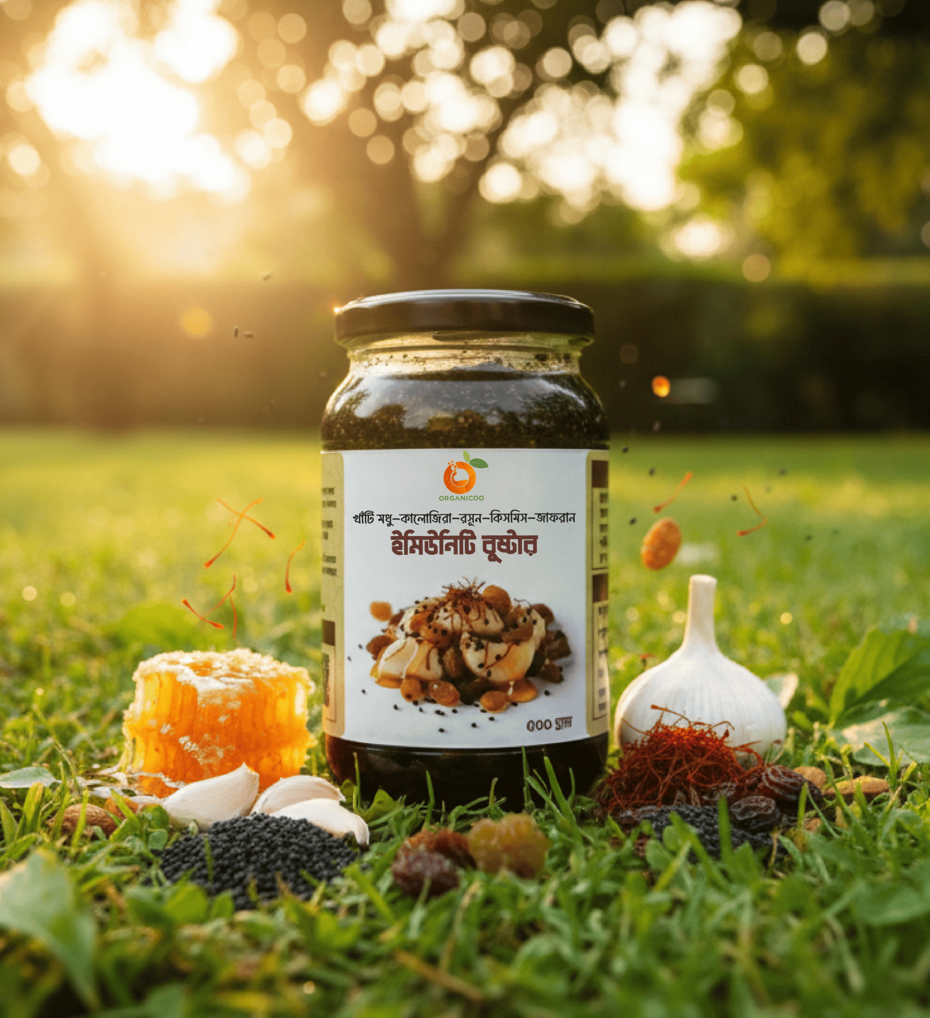 Picture of Organicoo Immunity Booster | Raw Honey + Black Seed + Garlic + Raisins + Saffron | Natural Immune Support Blend | 500g Glass Jar